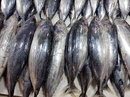 স্কিপজ্যাককে