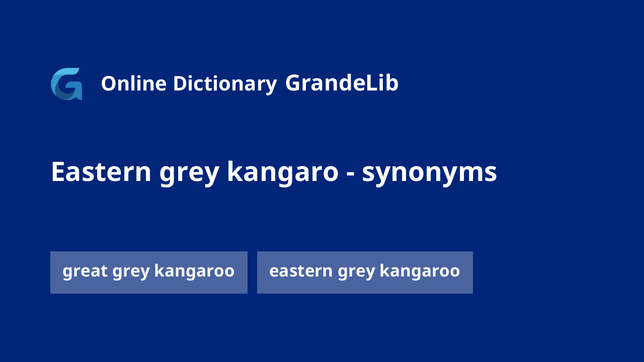 eastern grey kangaro