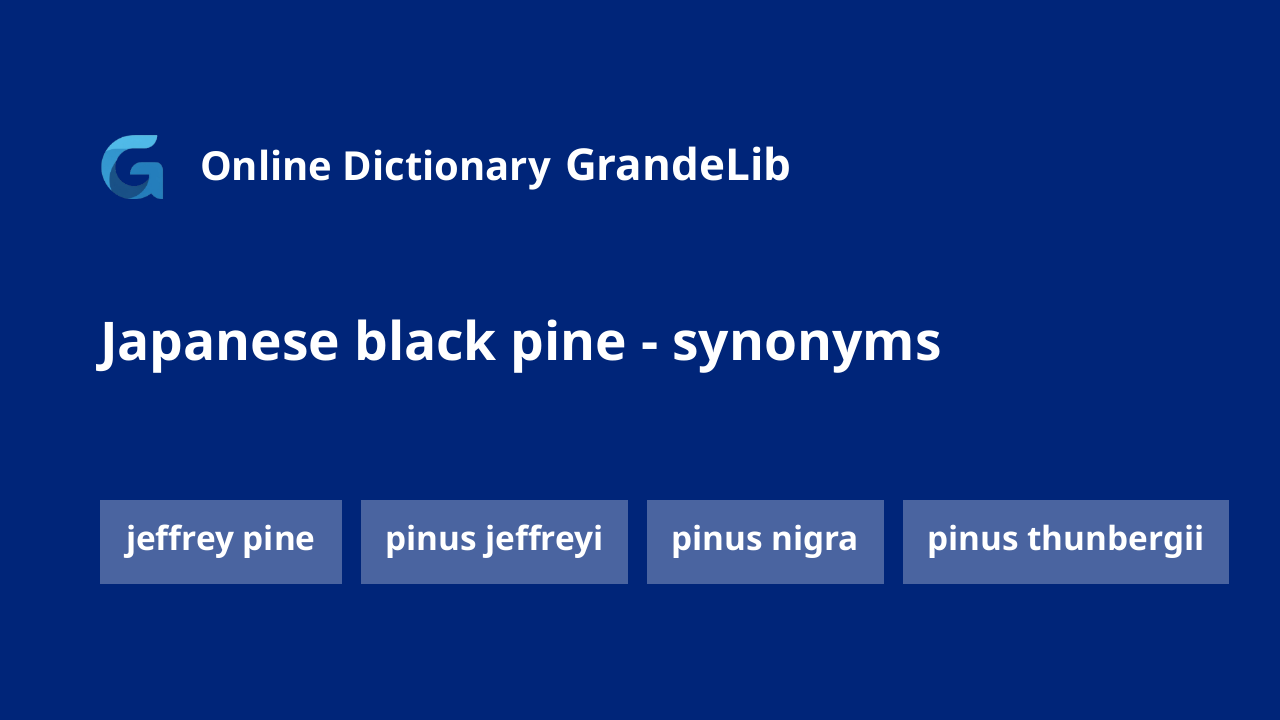 japanese black pine